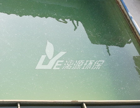 廣州酸洗廢水處理項目領(lǐng)導團隊蒞臨漓源環(huán)保參觀交流