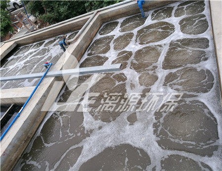 不同類(lèi)型氣浮法的特點(diǎn)